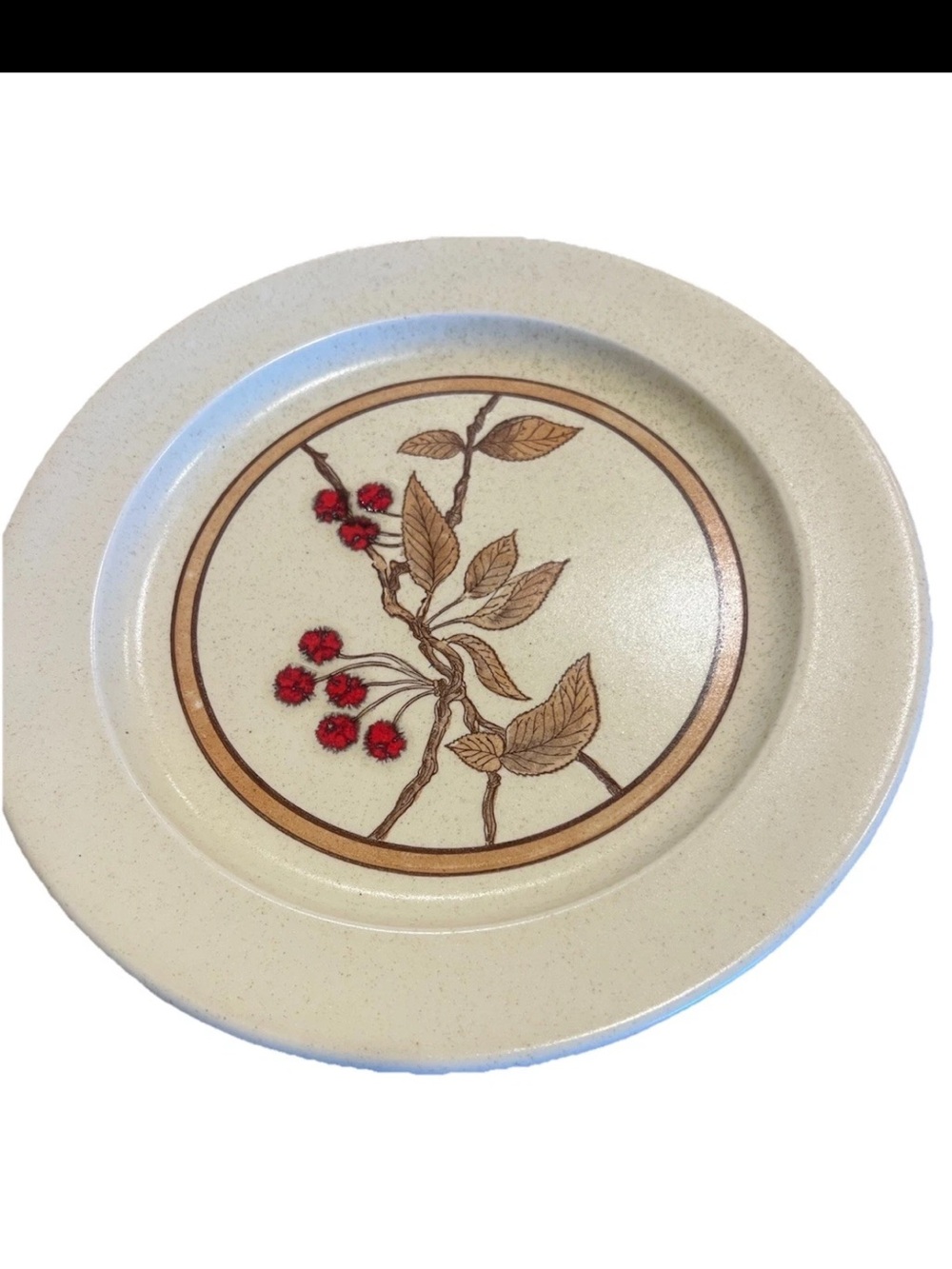 Anchor Hocking Ironstone Wild Cherry Dinner Plate MINT Mid Century Modern